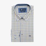 Regular line checked shirt